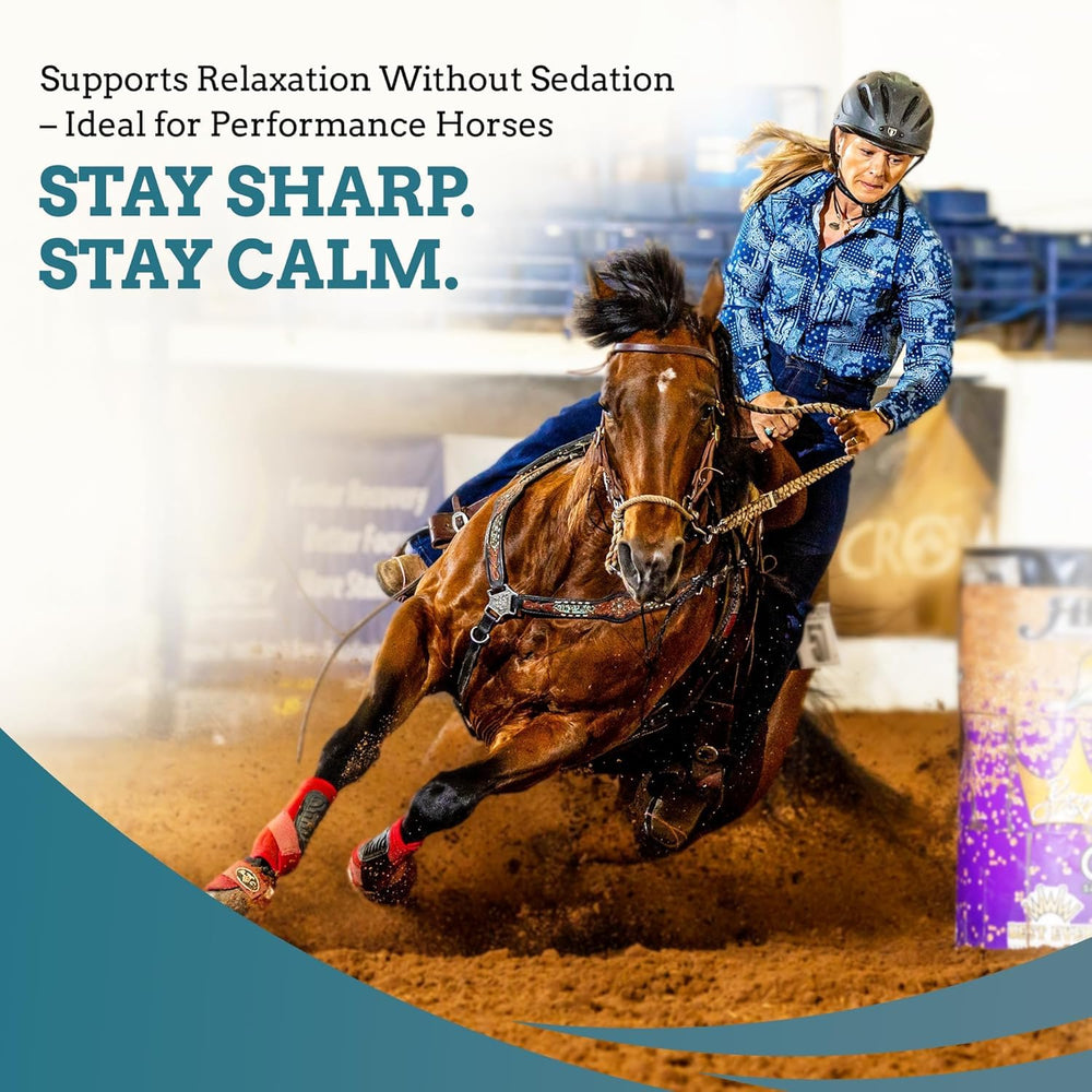 SynNutra Equine SynChill Pure — packaging conforme à la compétition sans substances interdites
