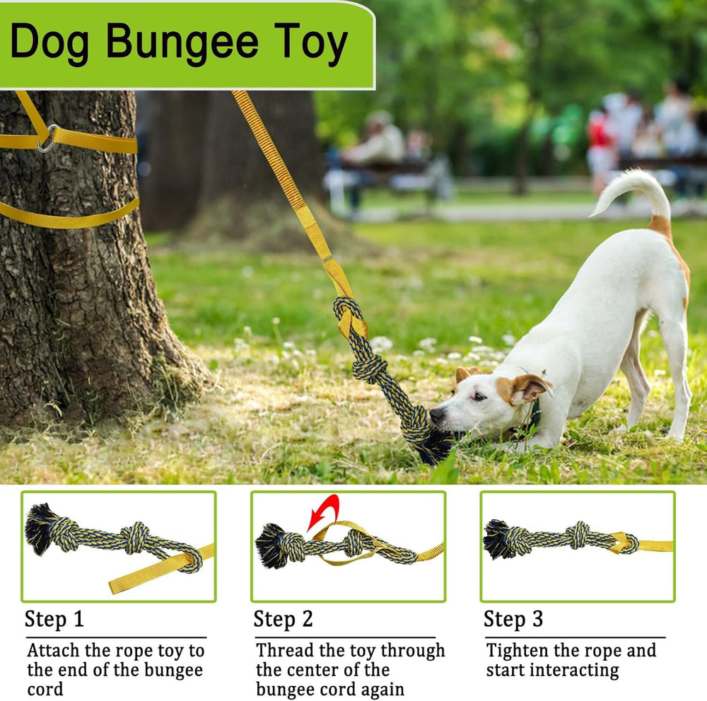 SYOOY jouet tir-bungee extérieur pour grand chien, encourage motivation et énergie.
