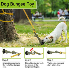 SYOOY jouet tir-bungee extérieur pour grand chien, encourage motivation et énergie.