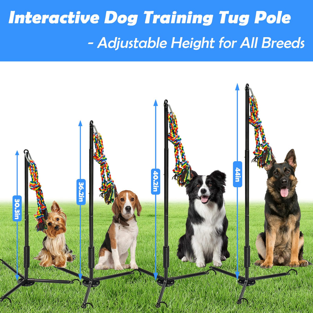 SYOOY Tether: cloche sur corde pour attirer l’attention du chien.