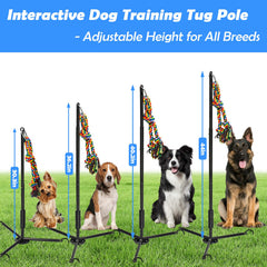 SYOOY Tether: cloche sur corde pour attirer l’attention du chien.