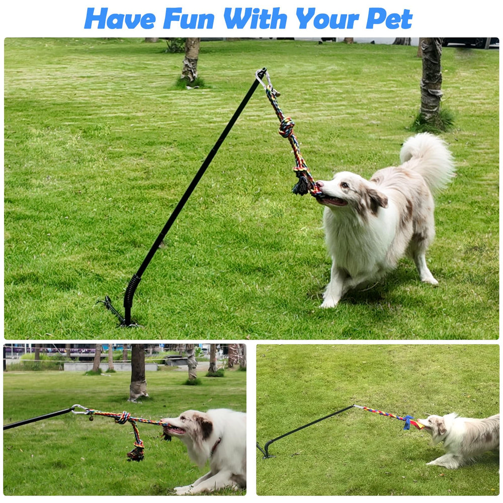 SYOOY Tether: jeu en plein air adapté à toutes les tailles de chiens.