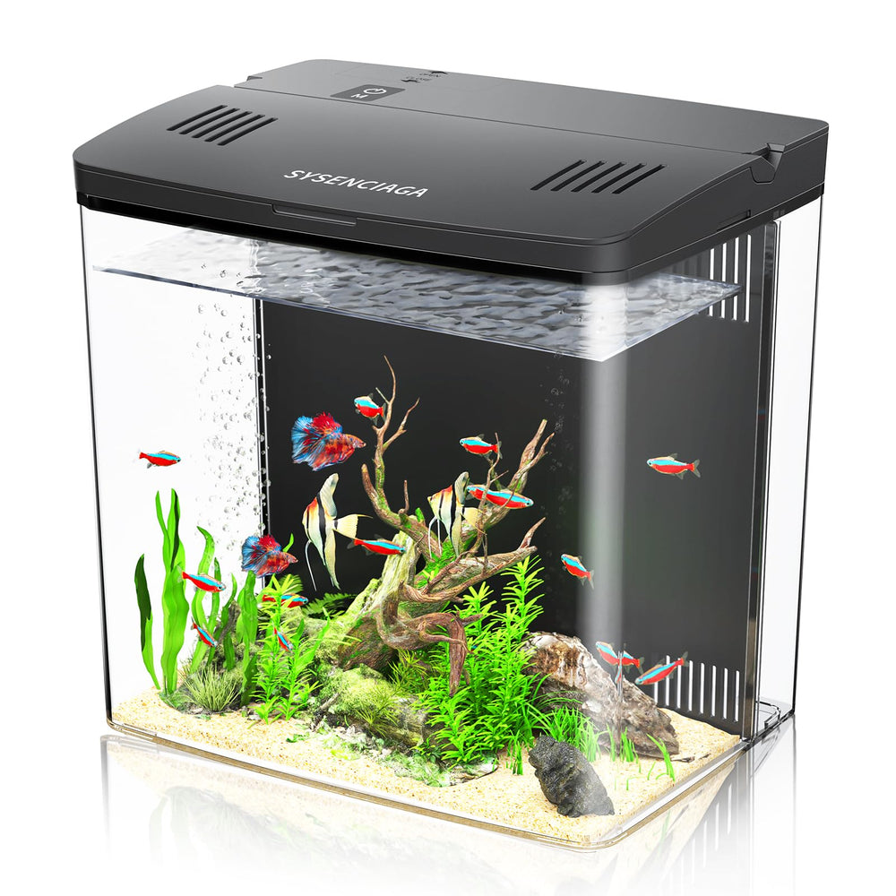 SYSENCIAGA aquarium de bureau prêt pour poissons, kit complet inclus.