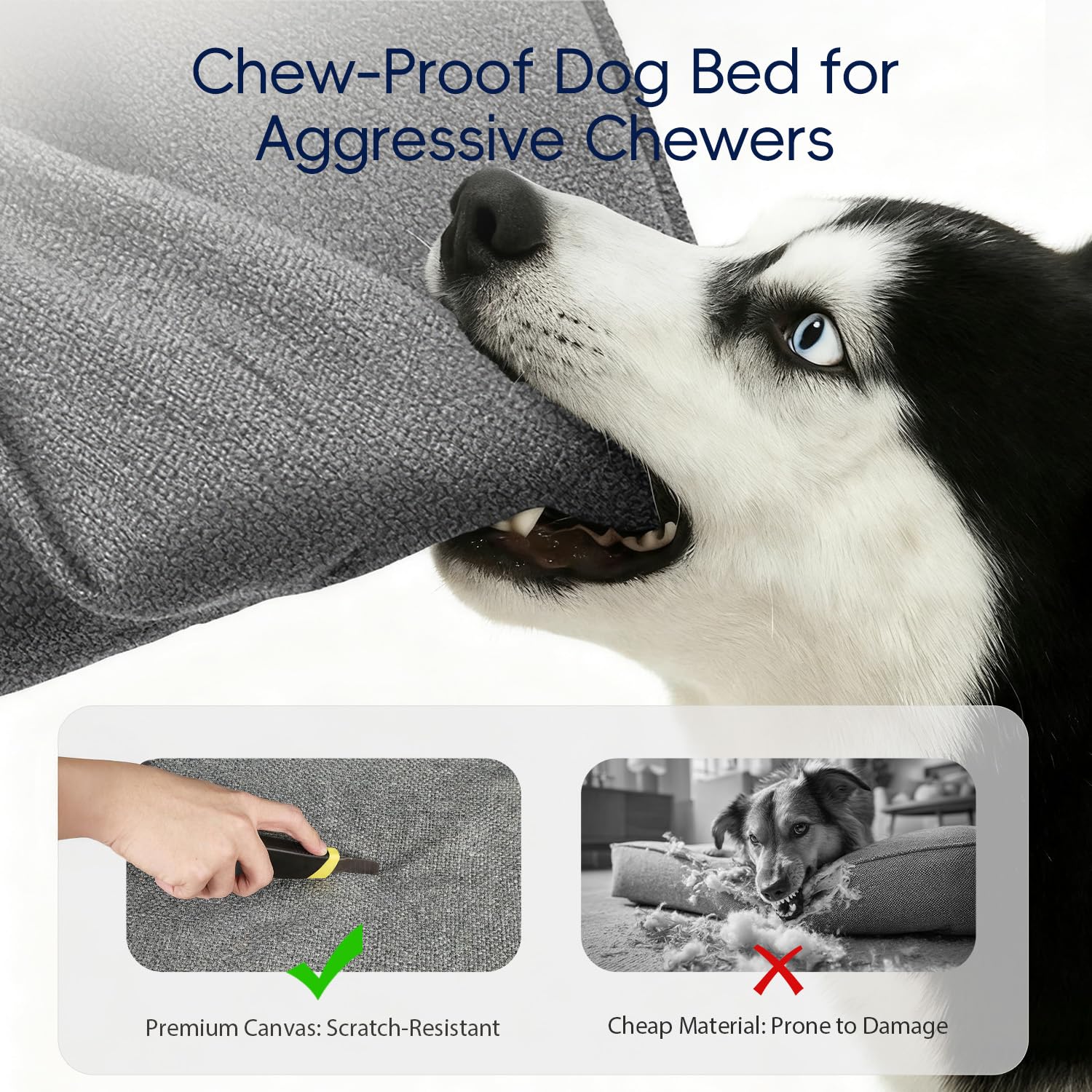 Conception en forme de C pour chien, favorise le confort et la sécurité.