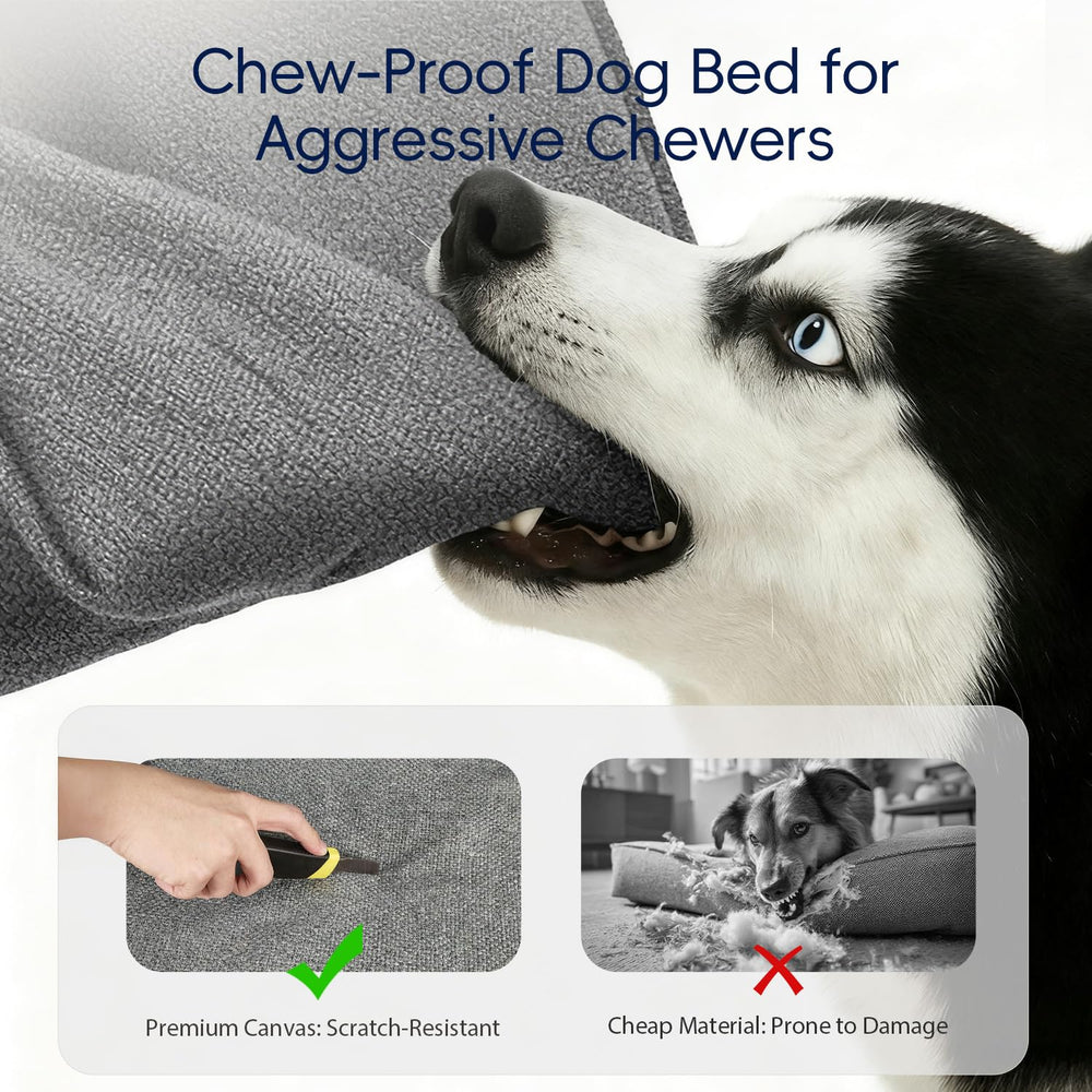 Conception en forme de C pour chien, favorise le confort et la sécurité.