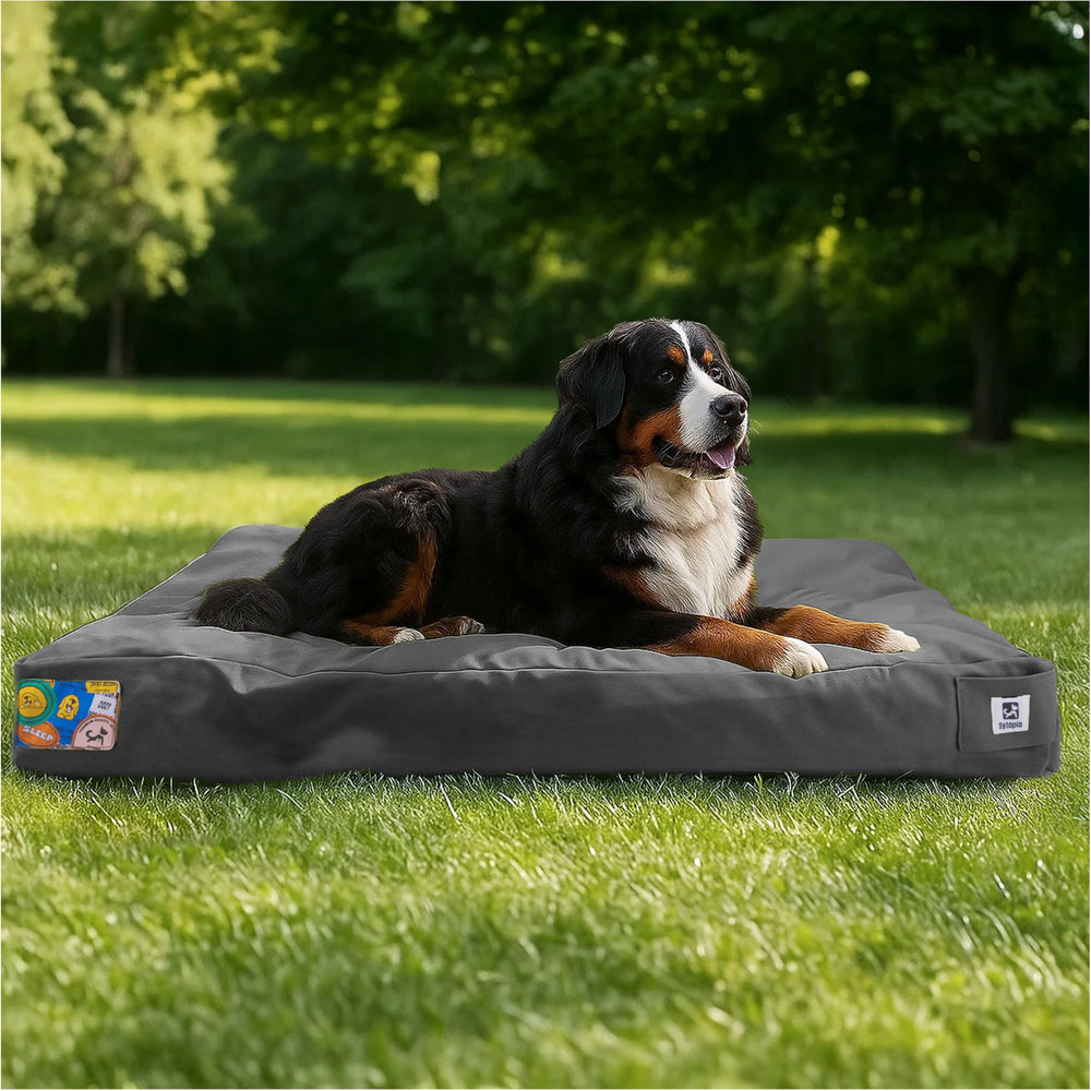 Lit chien Sytopia en toile extérieure, 47 pouces, résistant et confortable pour les grands chiens.