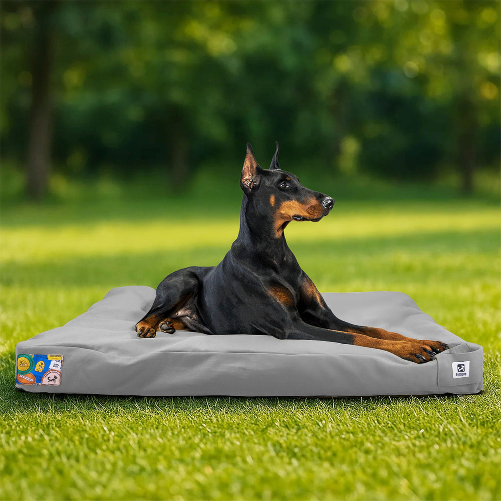 Sytopia lit chien extérieur imperméable, idéal pour les balades sous la pluie.