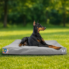 Sytopia lit chien extérieur imperméable, idéal pour les balades sous la pluie.