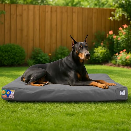 Lit-chien Sytopia extérieur indestructible, canvas résistant et confortable