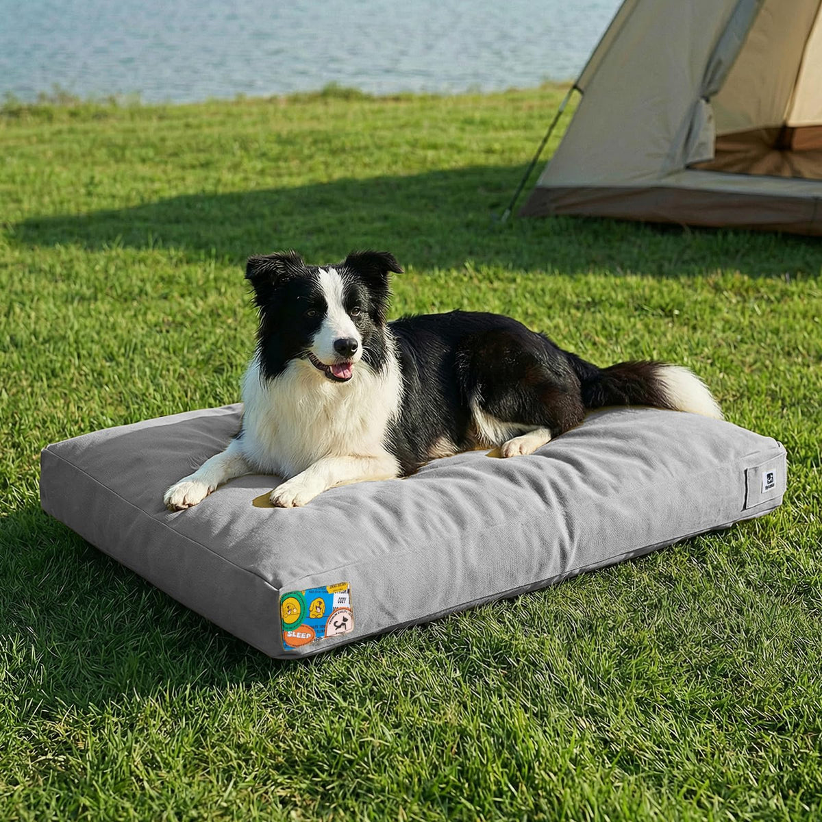 Lit pour chien Sytopia extérieur avec toile indestructible, idéal pour les aventures en plein air.