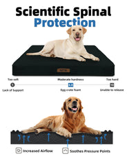 Sytopia lit indestructible 42 noir — chien en position de repos confortable.