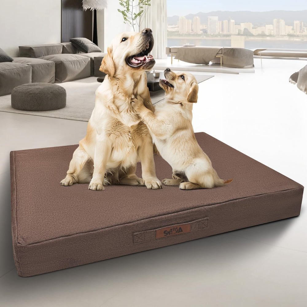 Sytopia Indestructible: lit chien avec mousse nid pour un soutien orthopédique durable.