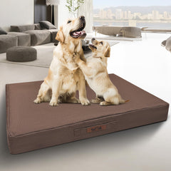 Sytopia Indestructible: lit chien avec mousse nid pour un soutien orthopédique durable.