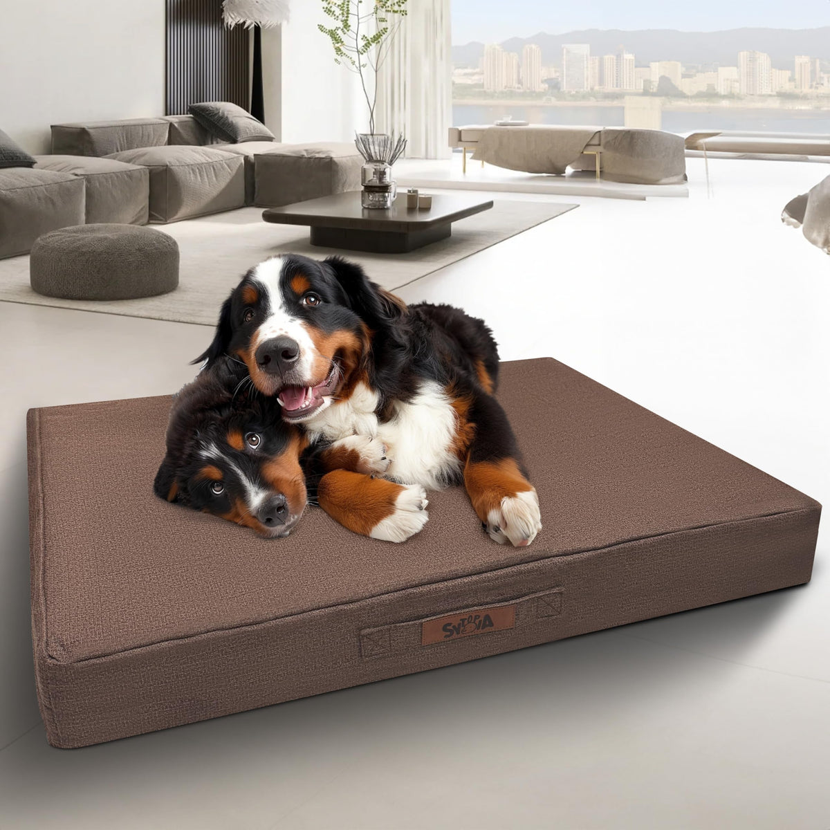 Lit chien Sytopia indestructible 50 pouces, confort et durabilité pour chiens jusqu'à 59 kg.