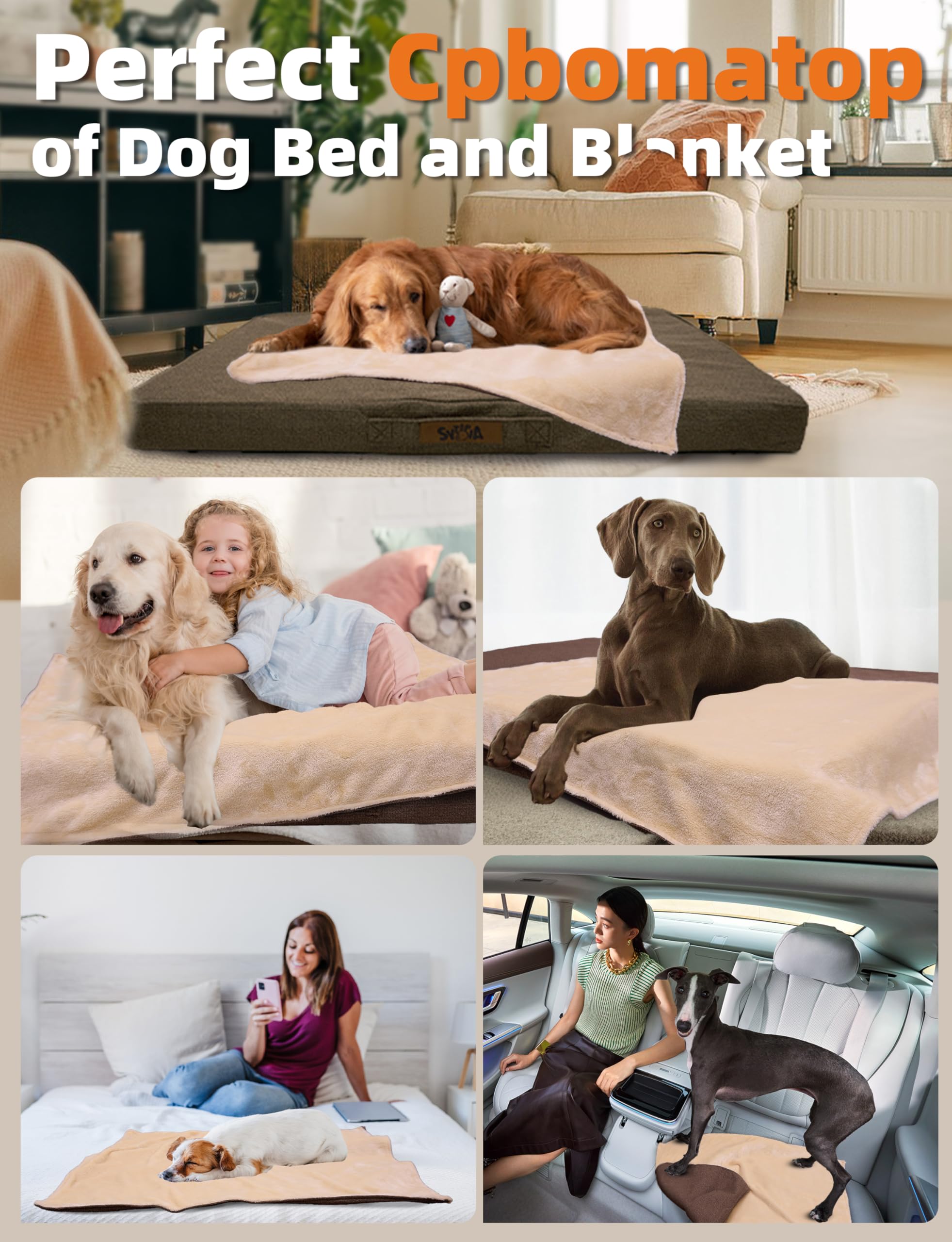 Bords résistants aux morsures Sytopia Indestructible pour chiens actifs.