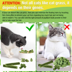SYWUAII chat qui croque herbe chat et plaisir pour l'hygiène bucco-dentaire.