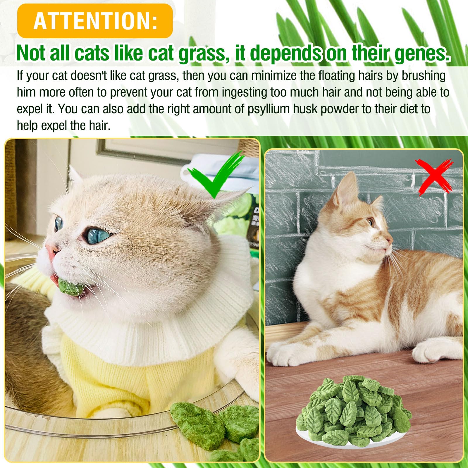 SYWUAII: sans-additifs-artificiels-chat, snack naturel sans colorants ni conservateurs.