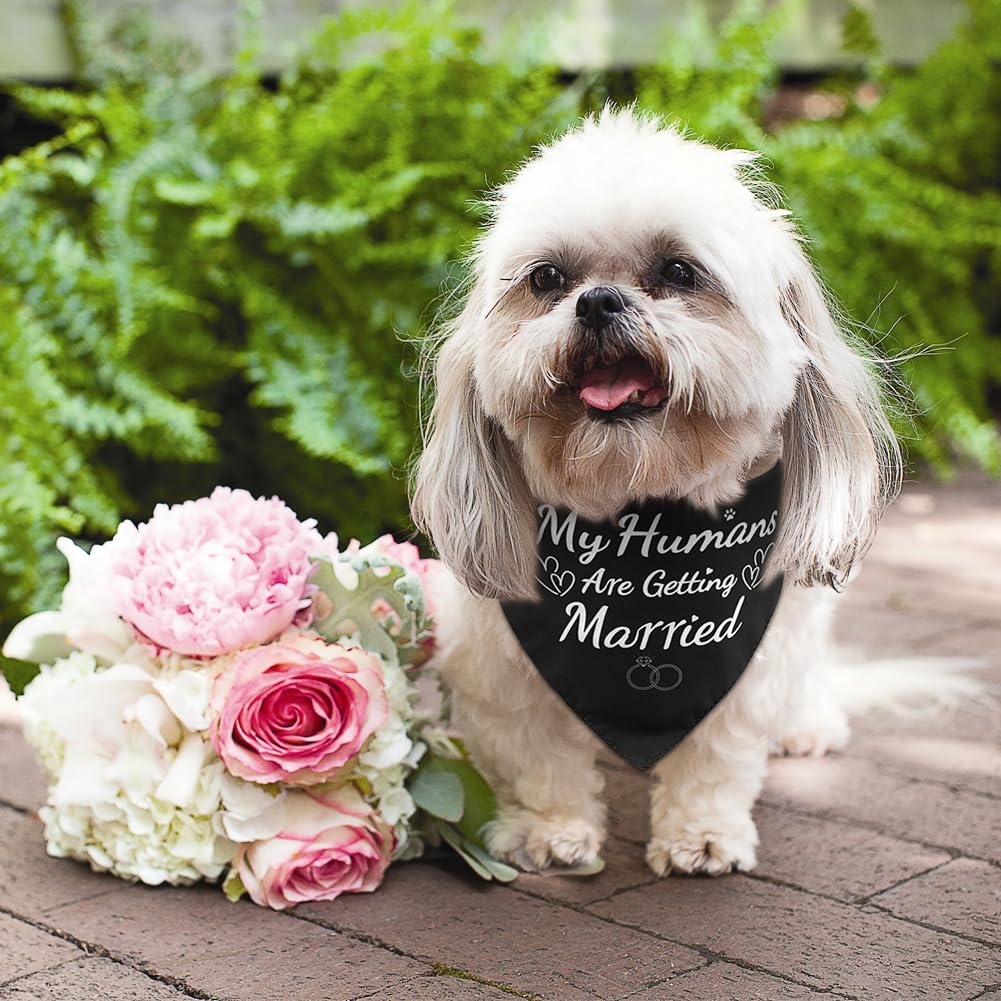 SZEE bandana chien mariage lavage en machine, entretien facile.