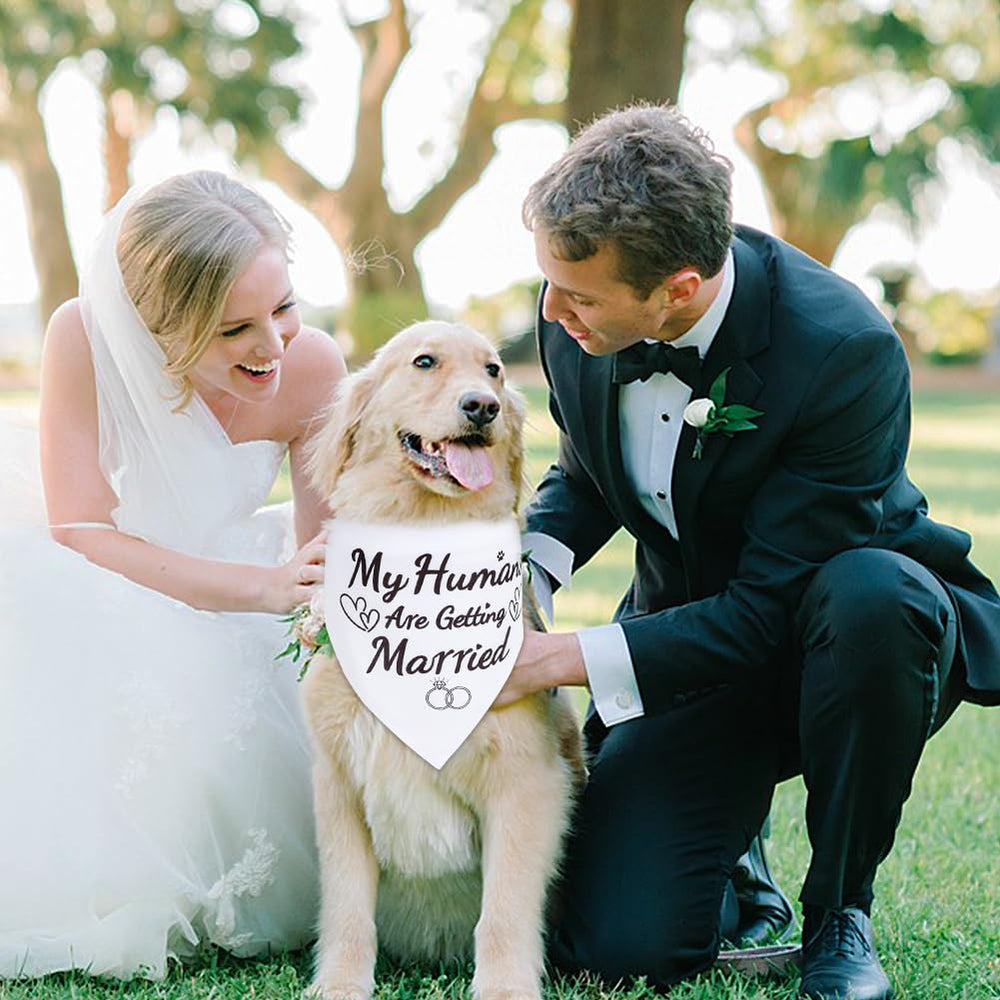 SZEE bandana chien mariage utilisation, parfait pour photos et décorations.