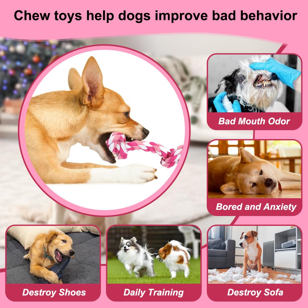 SZEE corde rose pour chien, convient au jeu et à l’intérieur