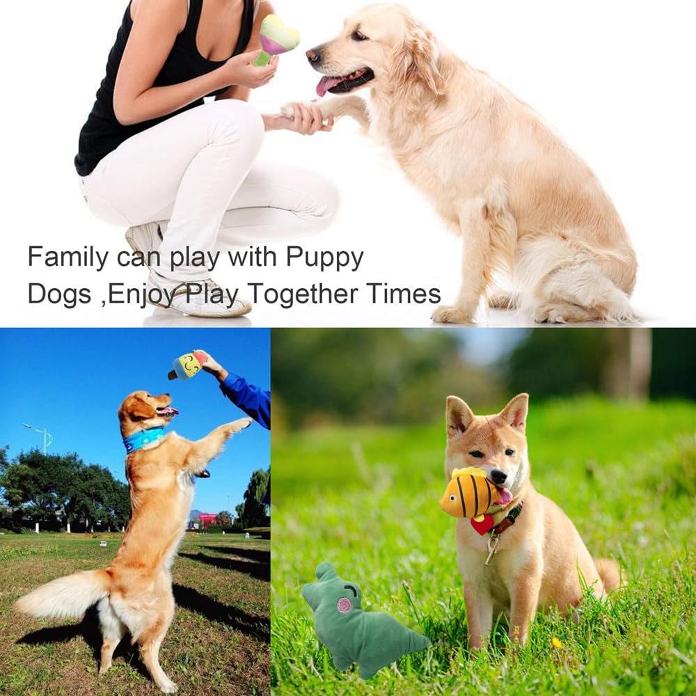 SZKOKUHO – stimulation quotidienne pour chiens, pour plus d’activité et de détente.