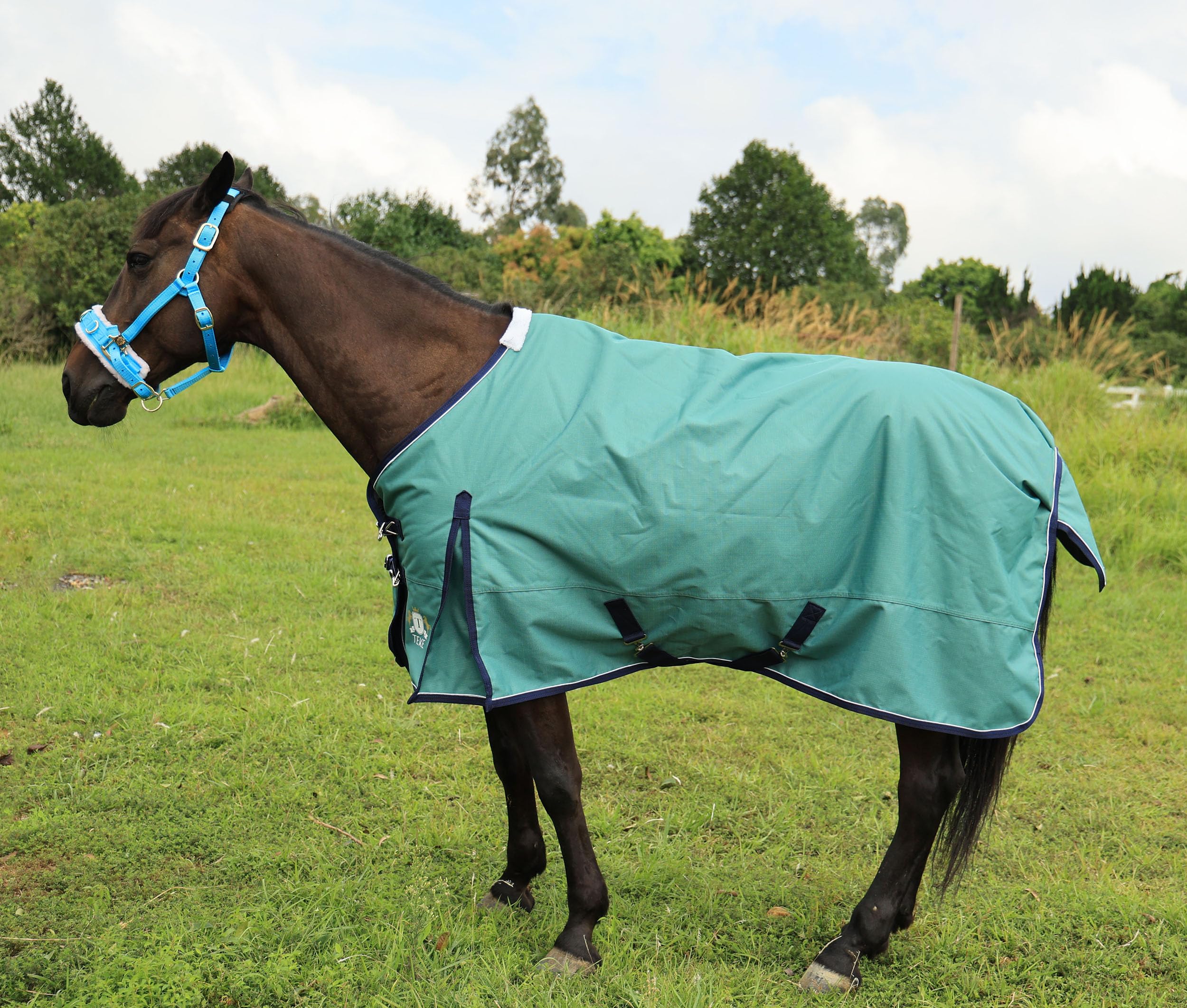 T TEKE Deluxe Turnout Blanket – doublure nylon souple, contact doux contre le pelage.