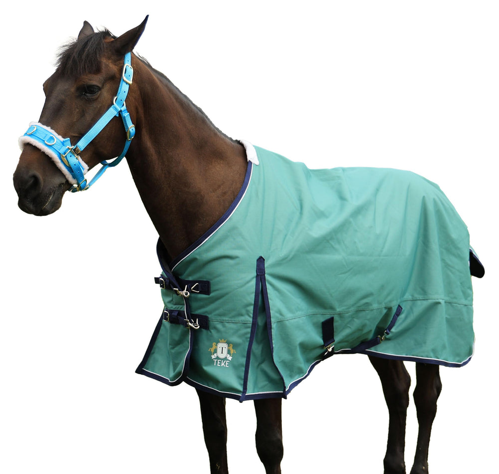 T TEKE Deluxe Turnout sur cheval dans le pré, protection imperméable et coupe confortable.