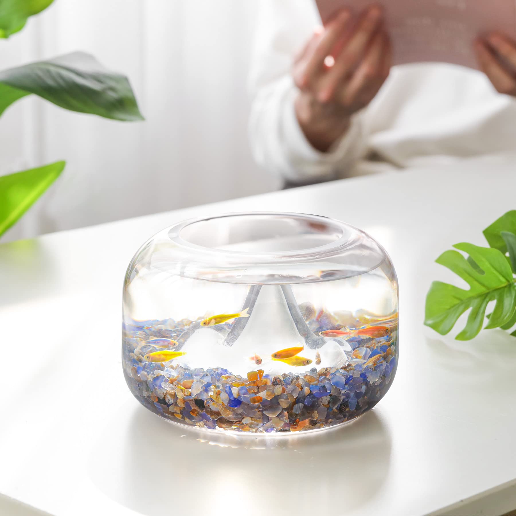 Gravillons pour terrarium succulentes T4U