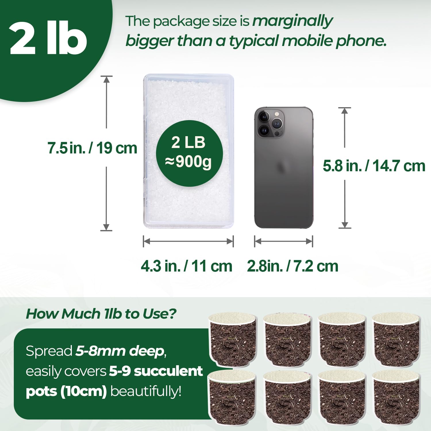 T4U quartz clair – chips décoratives pour plantes d'intérieur