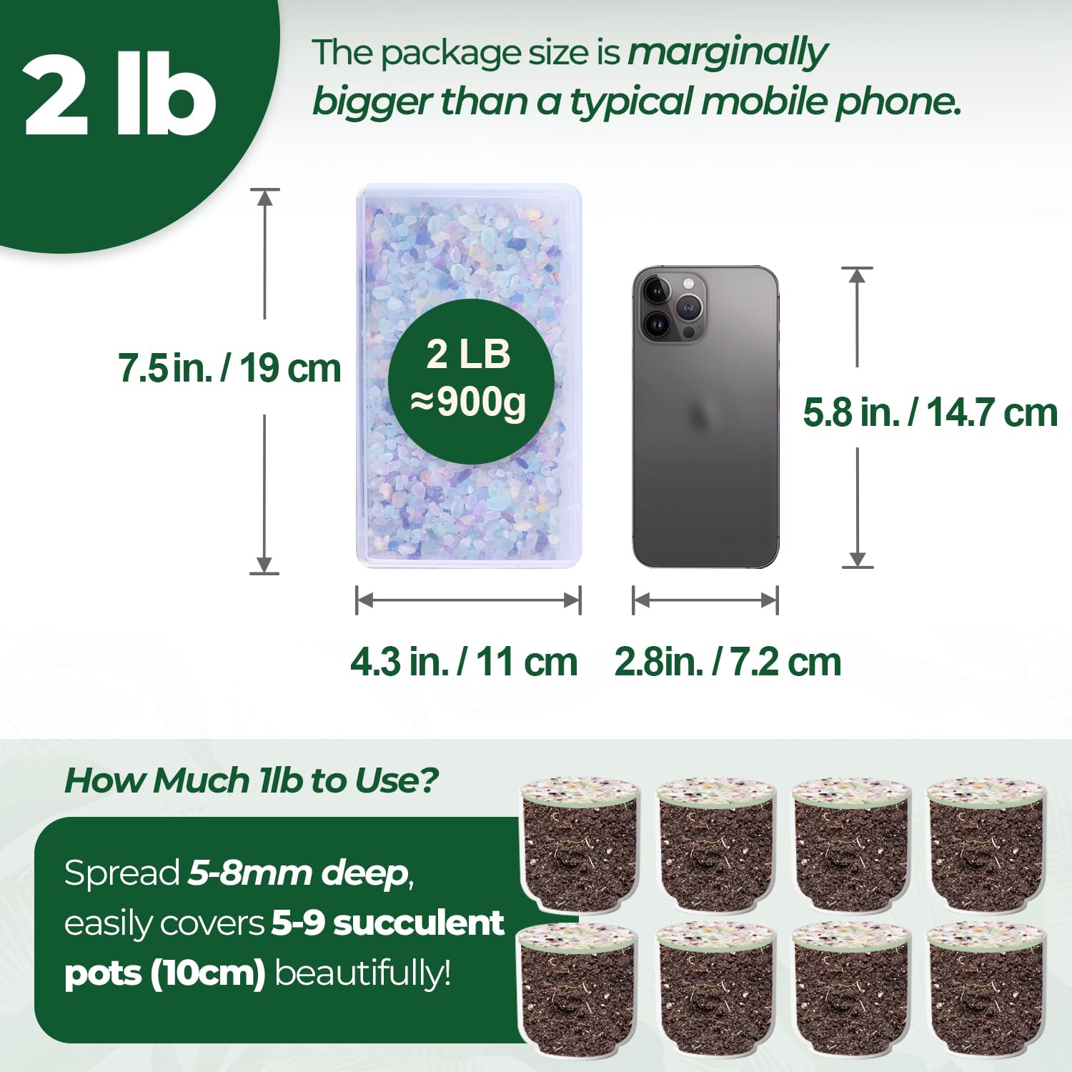 Galet pour succulentes T4U drainage esthétique et plante en bonne santé.