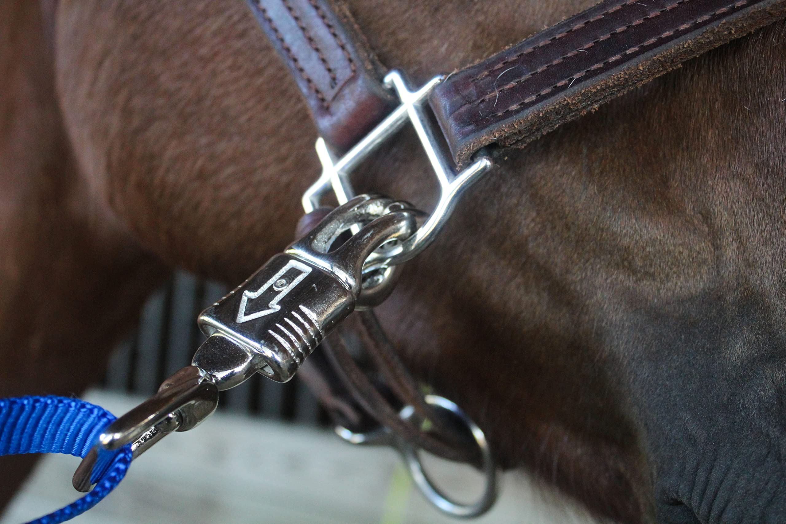 Tack Shack of Ocala – attaches croisées nylon, résistent au tirage et à l’usure.