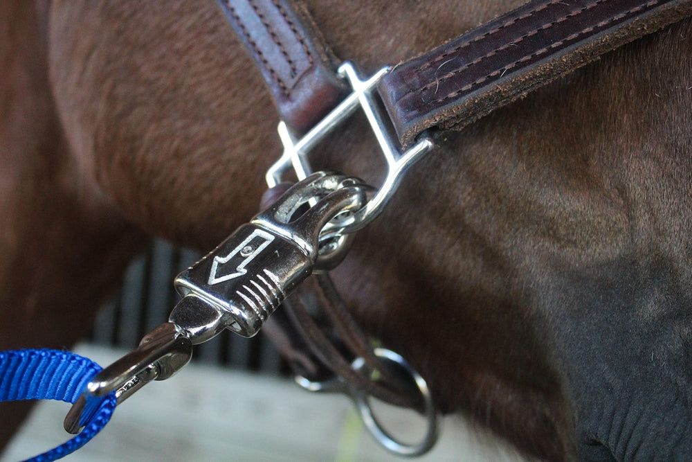 Tack Shack of Ocala – attaches croisées nylon, résistent au tirage et à l’usure.