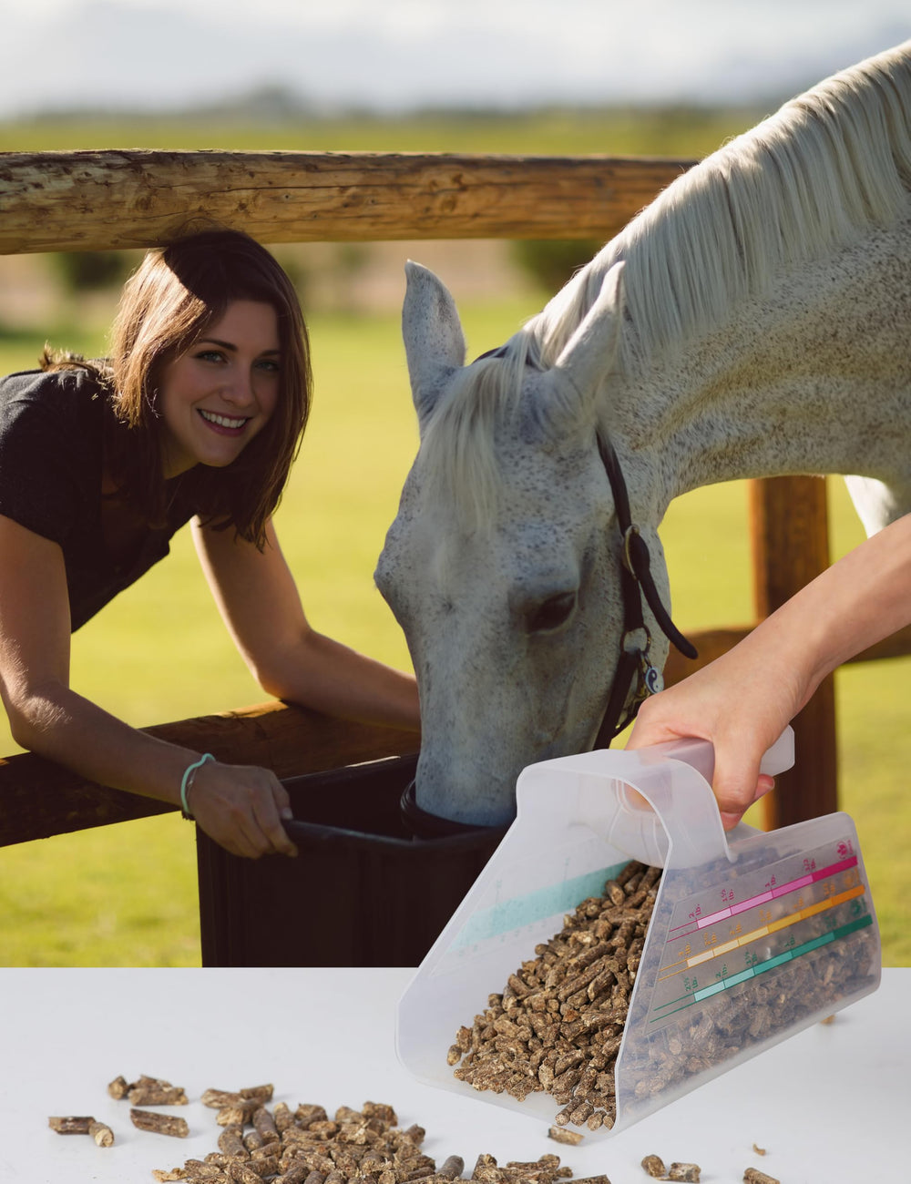 Utilisations diverses pour grains, pellets, nourriture sucrée et eau