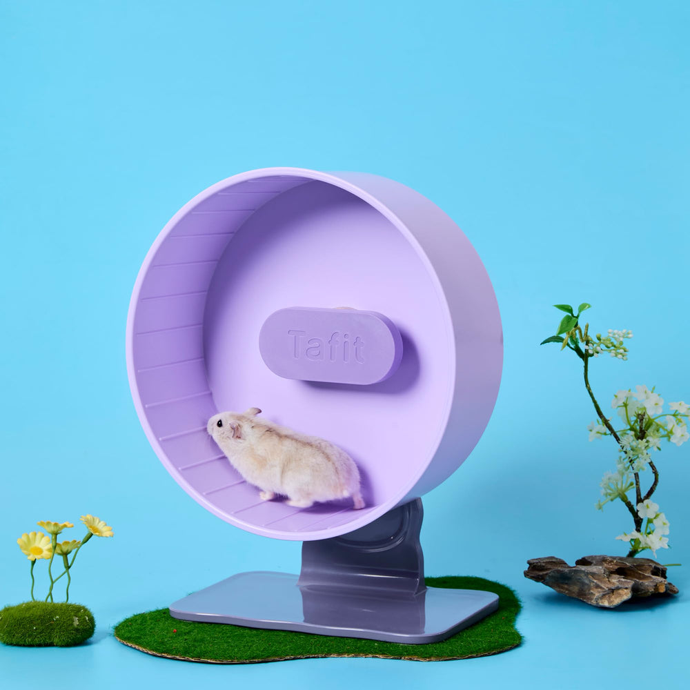 Roue Tafit en couleur Taro Purple, design vibrant et élégant.
