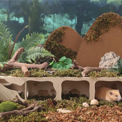 Tafit Hamster Hideout ambiance maison: pièces modulables pour différentes scènes.