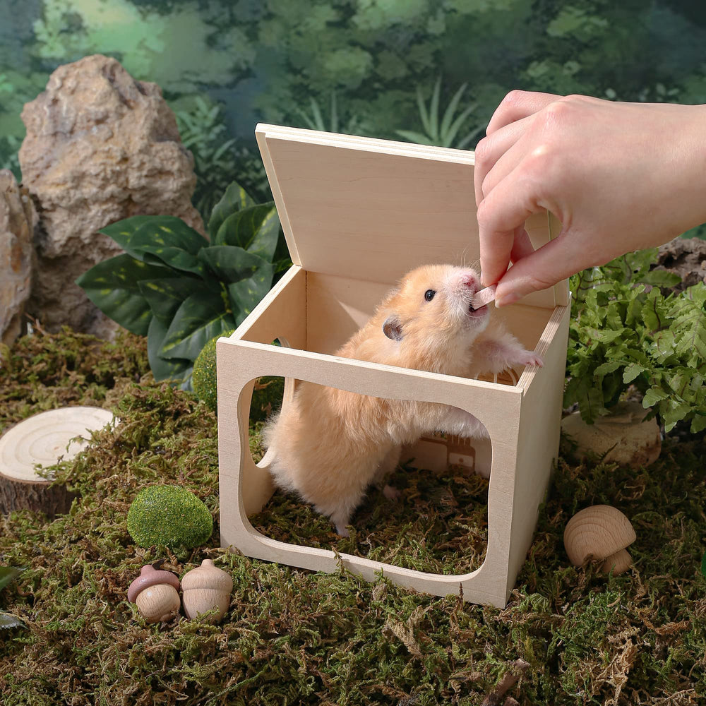 Tafit Hamster Hideout design sans fond: espace d’action accru pour animaux.