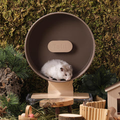 Roue Tafit pour hamster, vue extérieure, base robuste et stable.