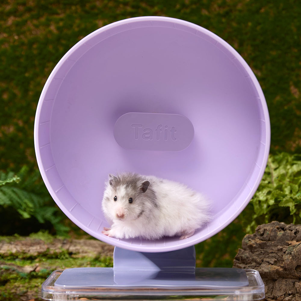 Roue Tafit avec roulements de précision pour une rotation lisse et durable.