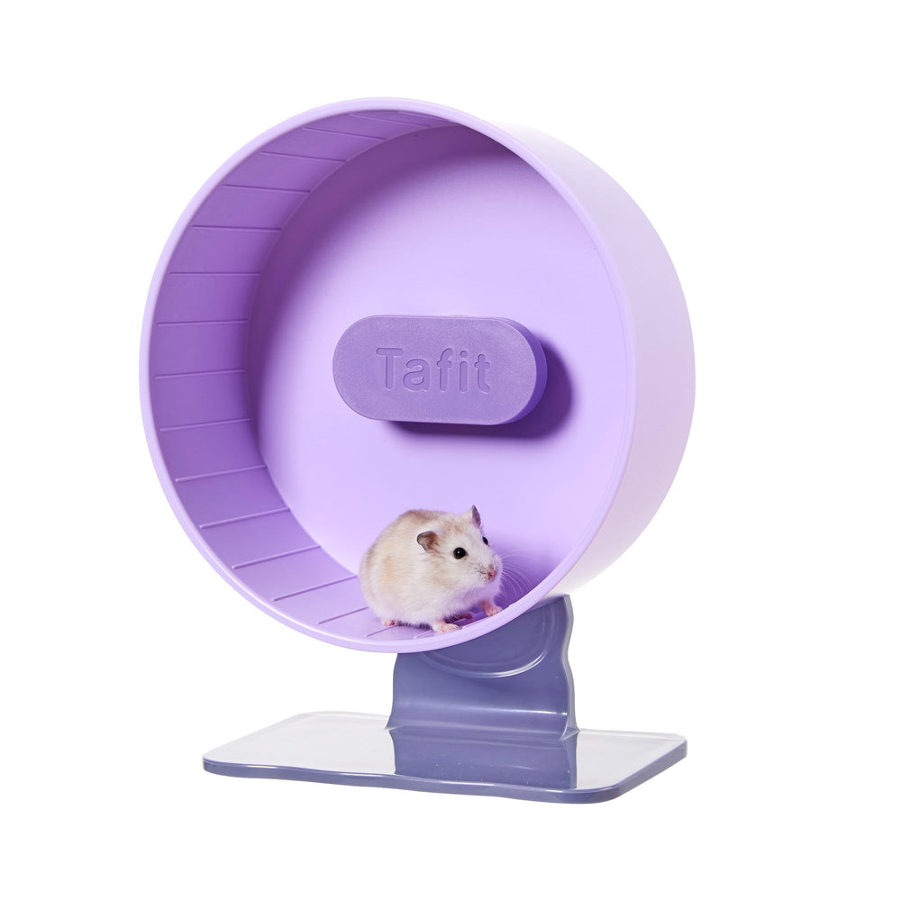 Roue Tafit silencieuse pour hamster en action, mouvement fluide et discret.