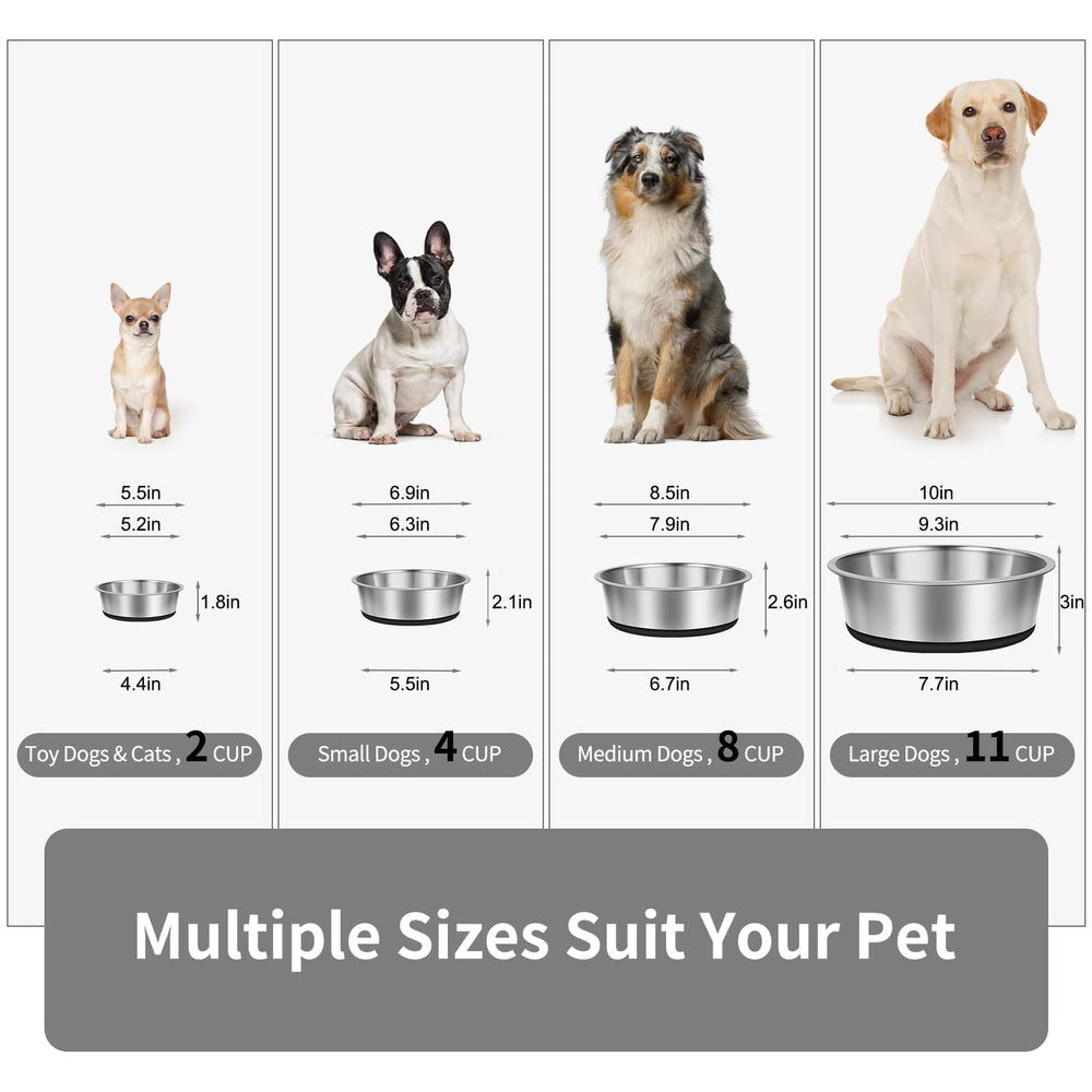 Bol Taglory en acier inoxydable épais et durable, idéal pour grandes races.