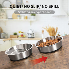 Capacité de 84 oz, bol Taglory adapté aux repas généreux des grands chiens.