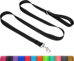 Taglory Laisse Petits Chiens, réflexion double-face pour promenades nocturnes plus sûres