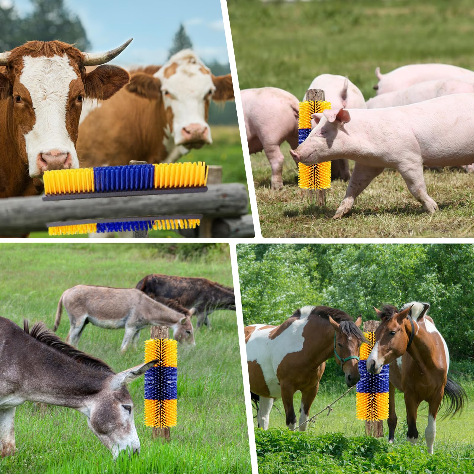 Brosse TAGYSH bovins: grattage du dos et relaxation régulière.