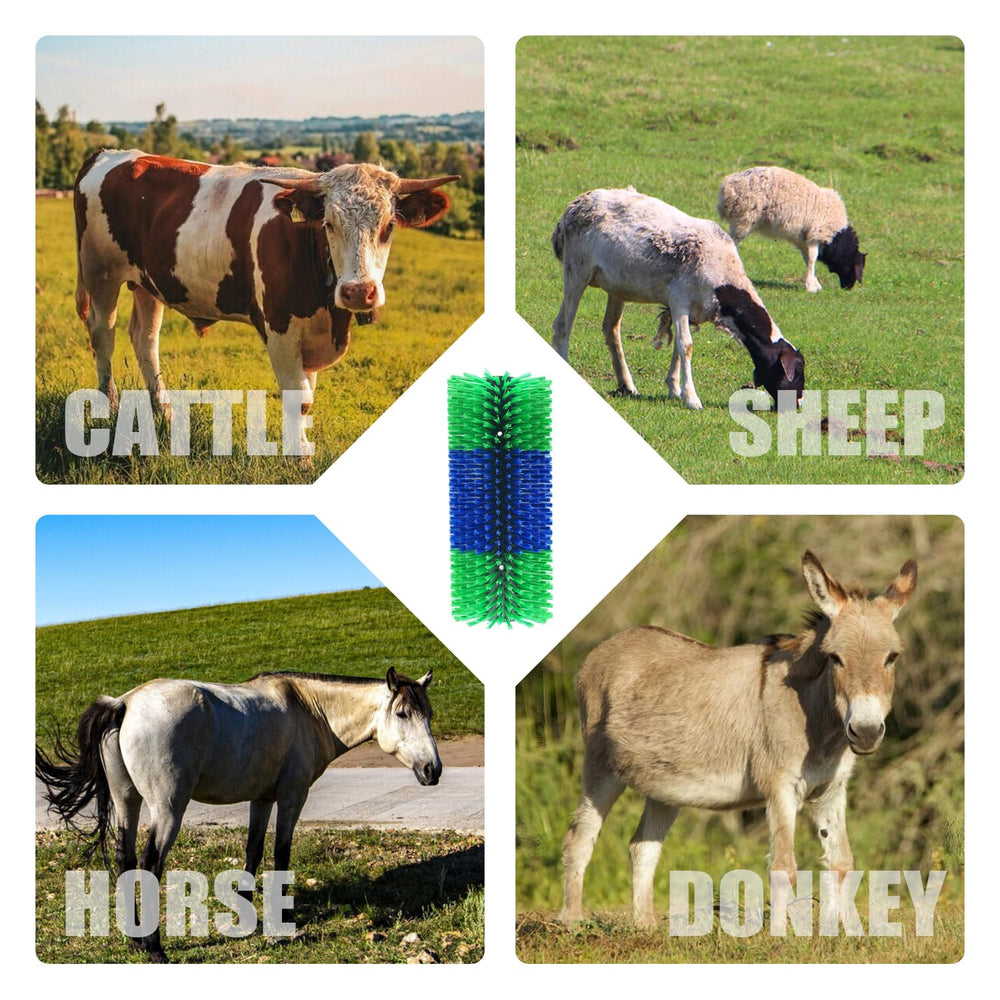 Tagysh brosse-grattage porcs: utilité pratique près des murs et clôtures.