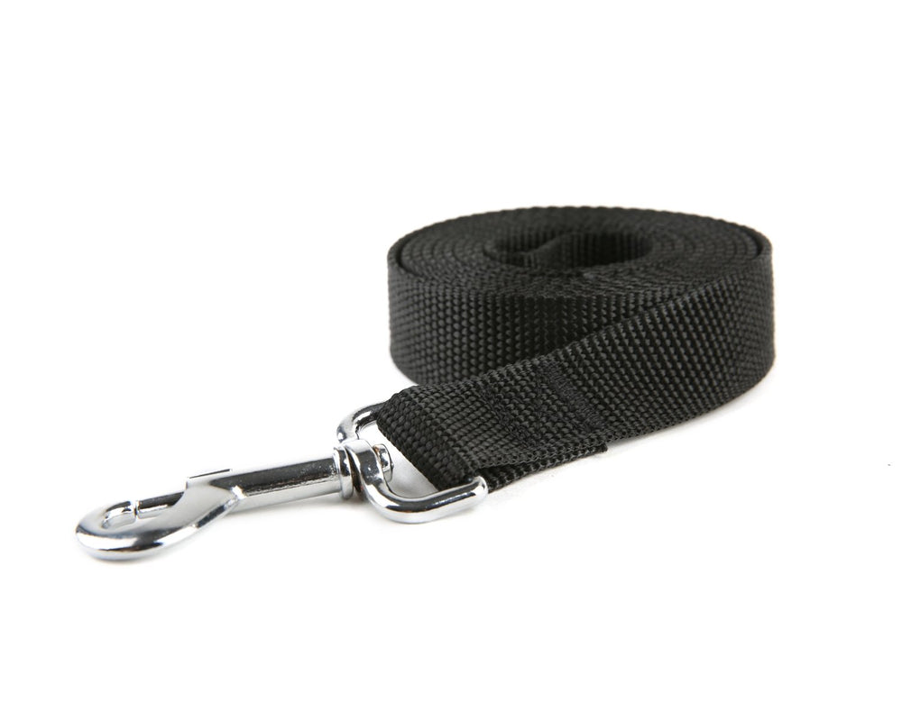 Laisse TAIDA en nylon légère, longueur cinq pieds et largeur trois-quarts pouce, promenade facile.