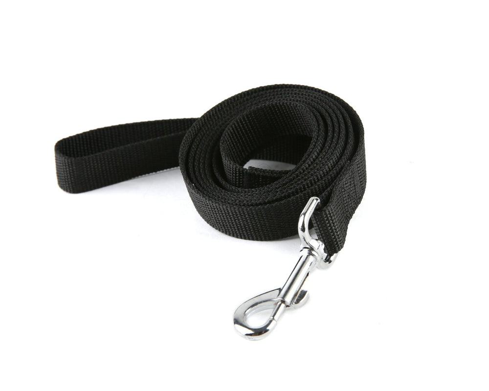 Laisse TAIDA en nylon dressage, longueur six pieds et largeur un pouce, contrôle renforcé.