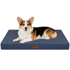 Lit Tail Stories pour chien exterieur impermeable, parfait pour les aventures en plein air.