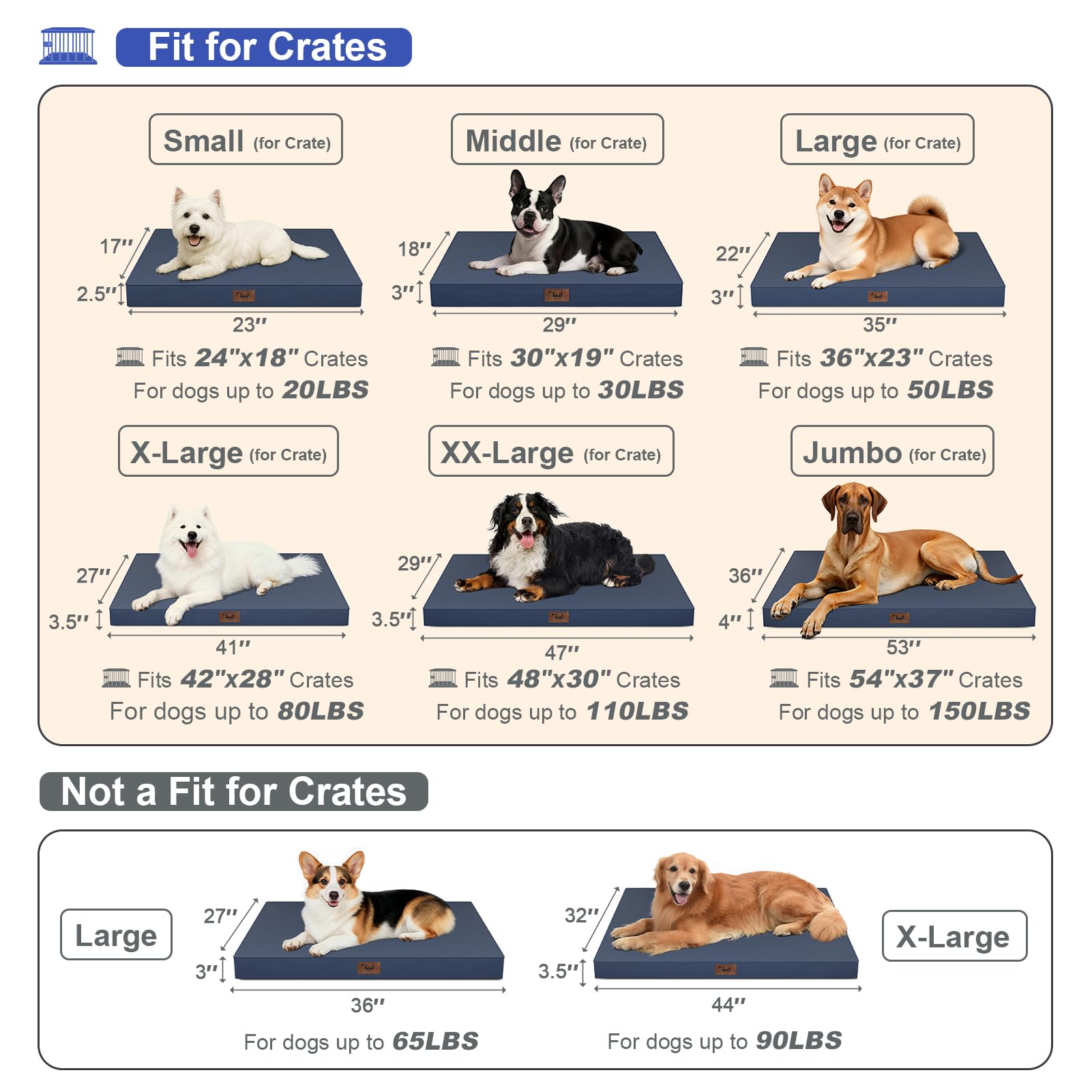 Mousse nid-d-abeille orthopedique Tail Stories, soutien cible pour les articulations.