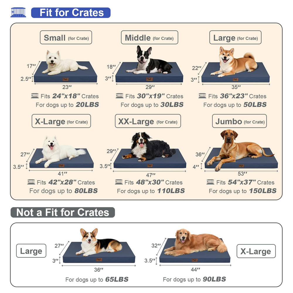 Mousse nid-d-abeille orthopedique Tail Stories, soutien cible pour les articulations.