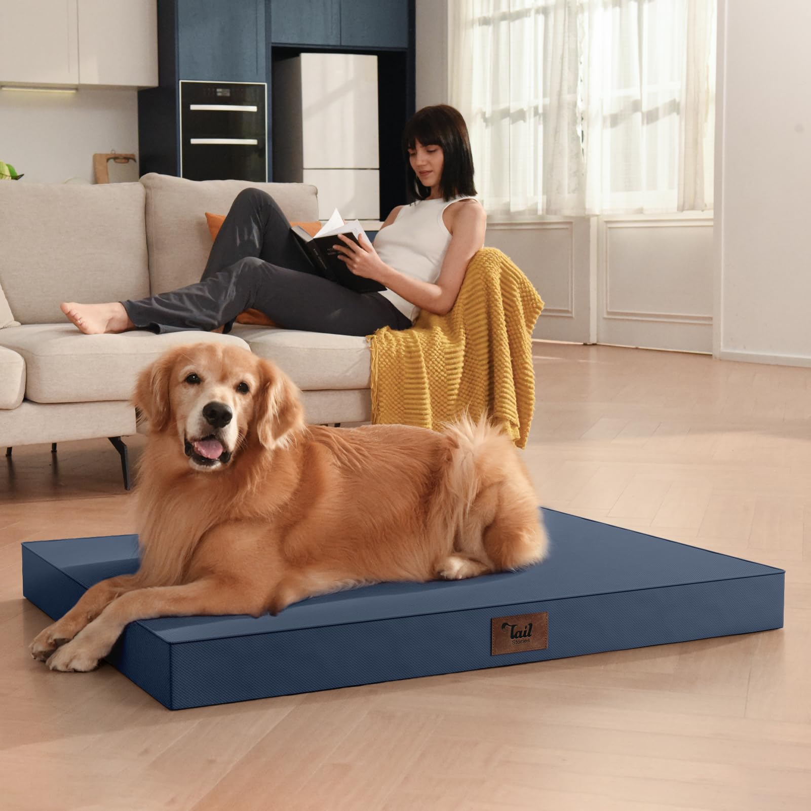 Utilisation interieur et exterieur Tail Stories, design polyvalent pour grand chien.